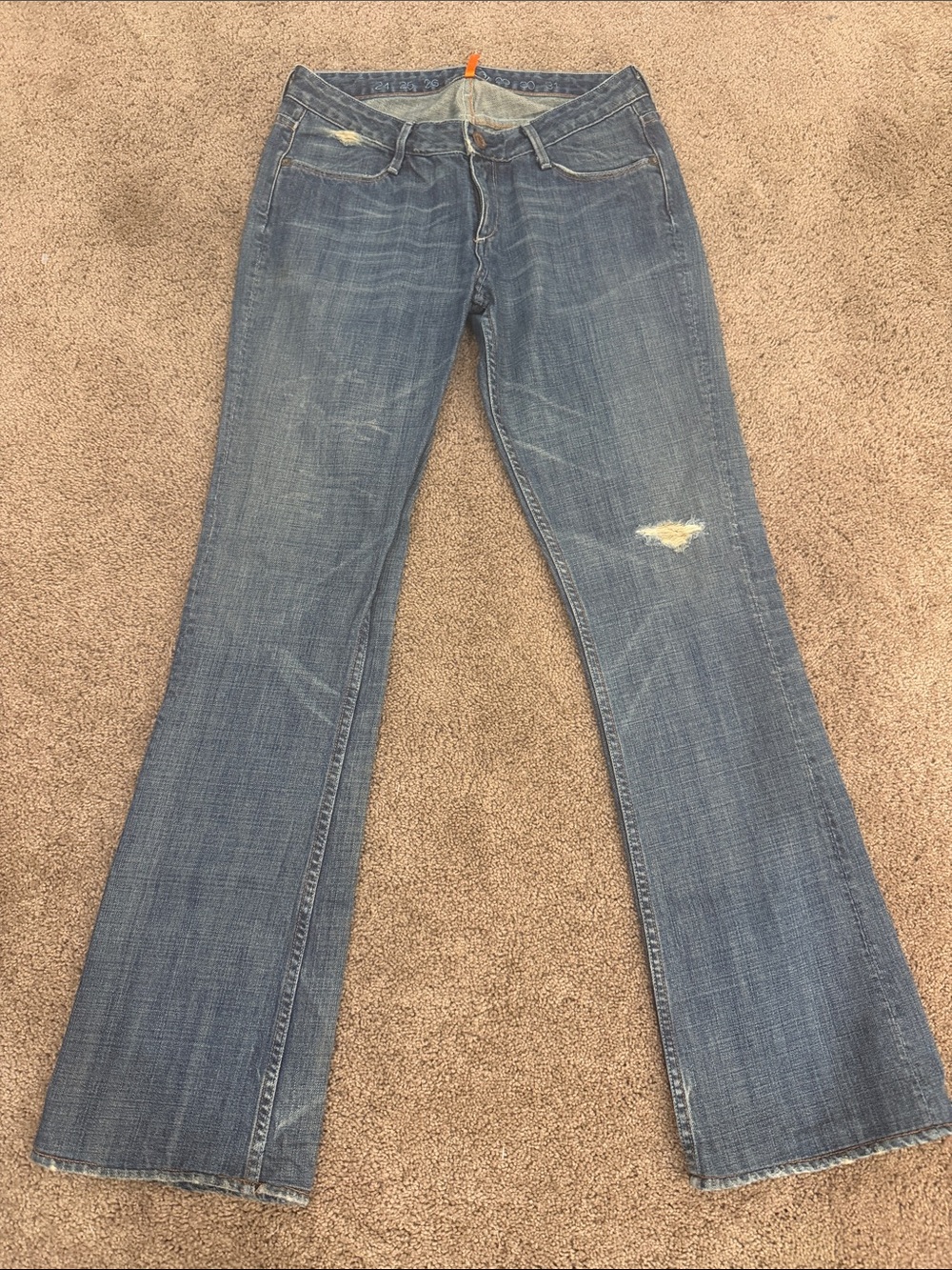 Earnest Sewn Blue Distressed Flare Jeans